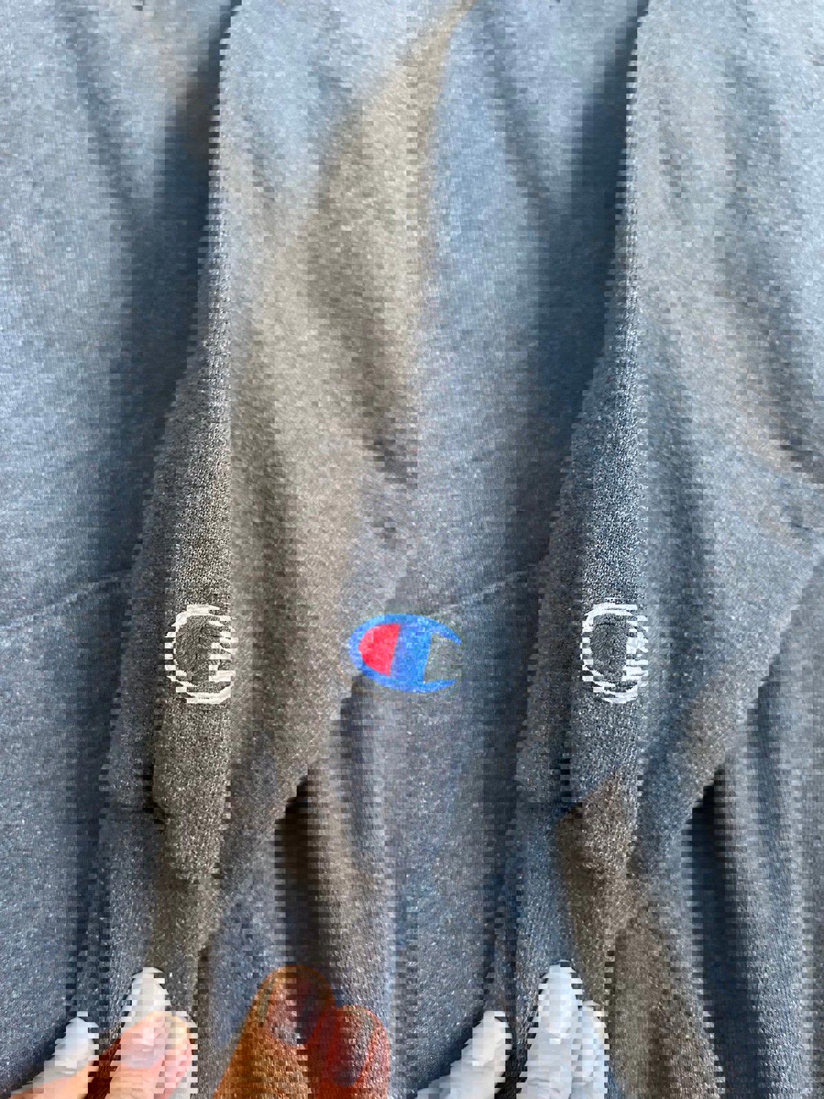 Champion University of Milwaukee Wisconsin Panthers Hoodie Sweater