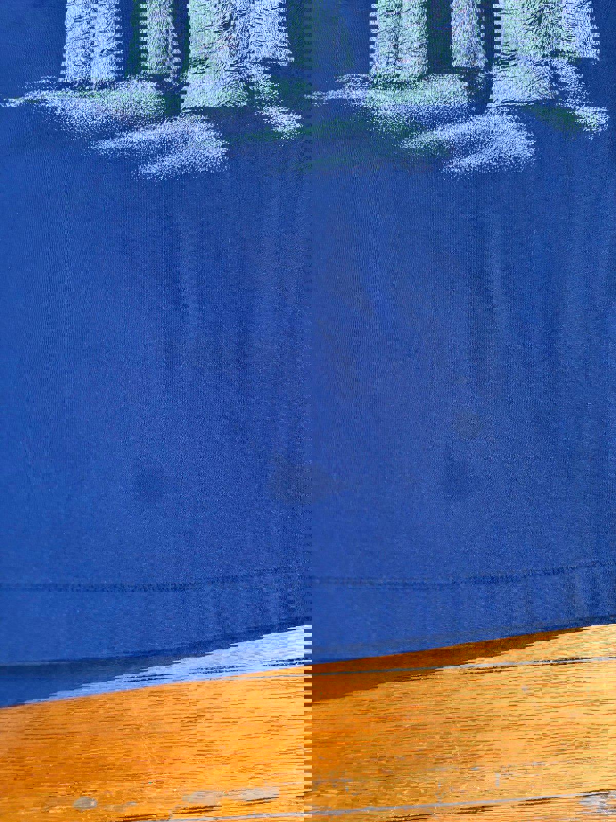 Vintage Nature Wolves Wolf Mountains T-Shirt