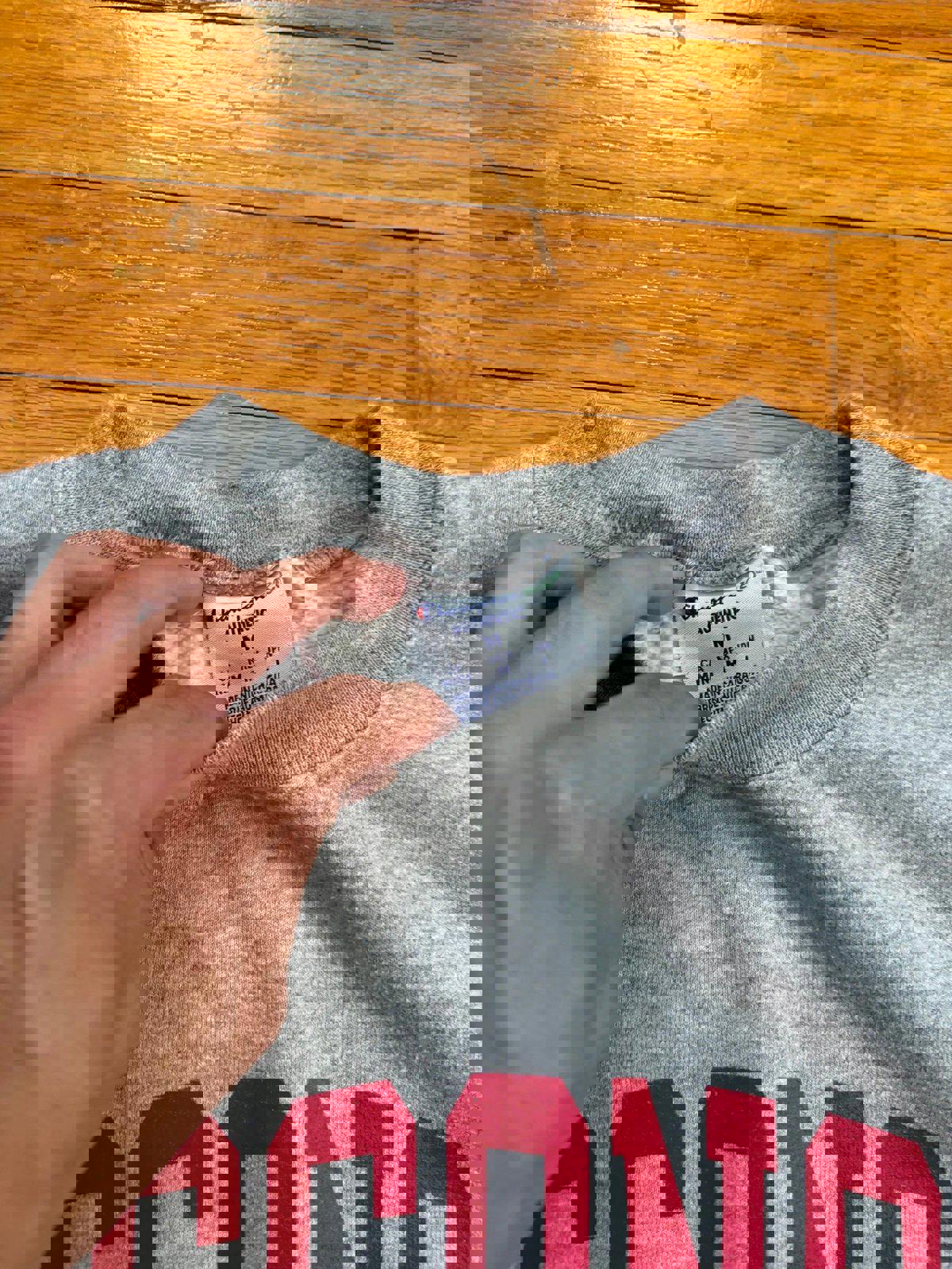 Champion University of Wisconsin Badgers Crewneck Sweater