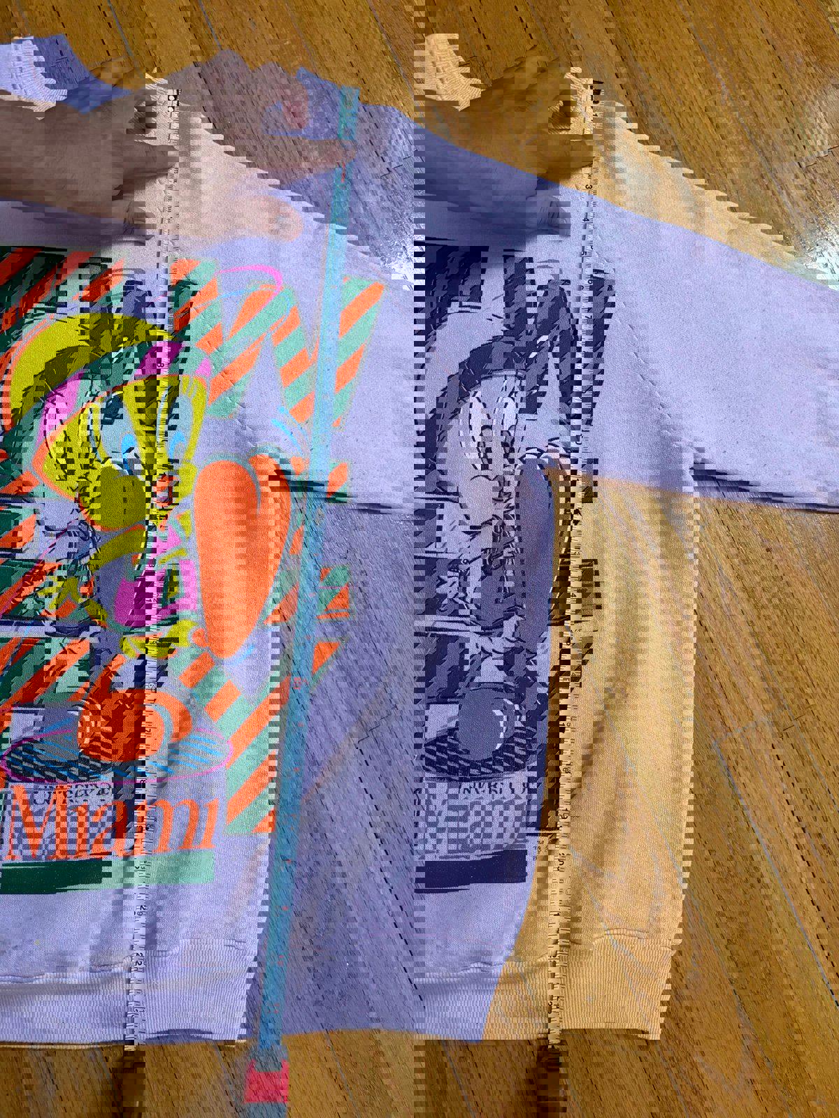 Vintage 90s University of Miami Hurricanes Tweety Bird Crewneck