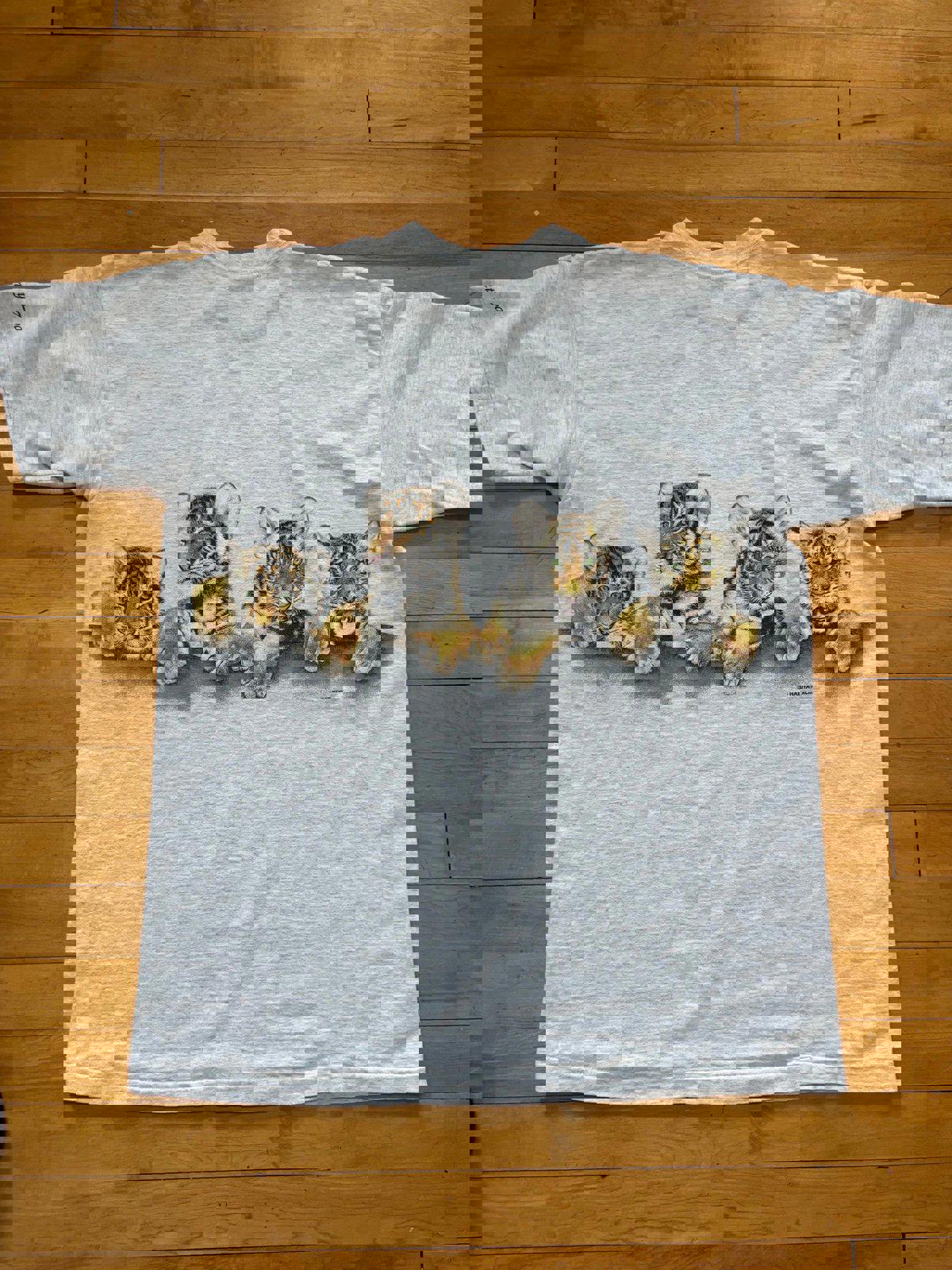 Vintage Nature Lion Milwaukee Wisconsin Country Zoo T-Shirt