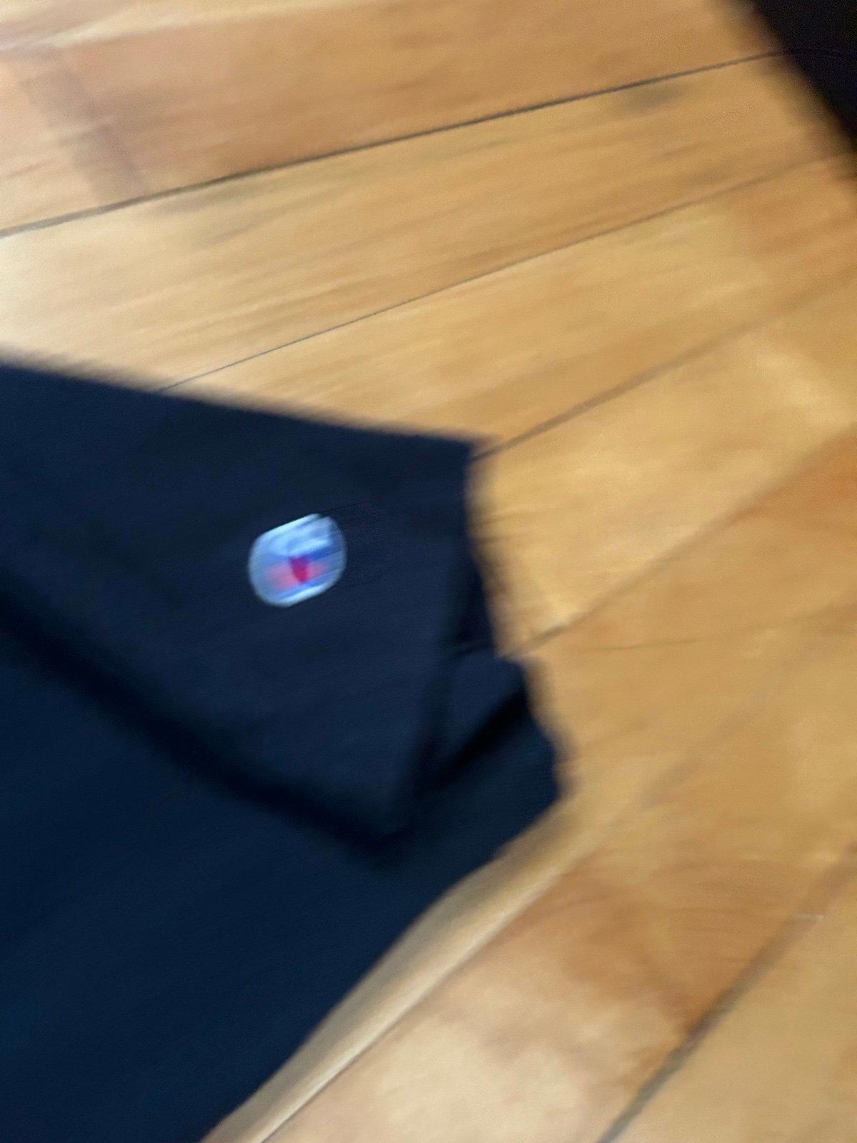 Vintage 1994 NFL Pittsburgh Steelers Champion Single Stitch T-Shirt