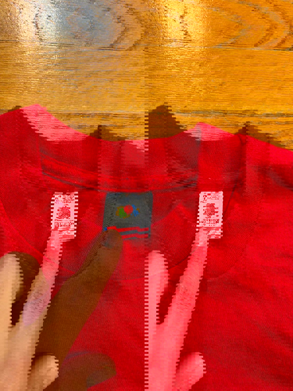 Vintage 90s University of Wisconsin Badgers Football Rose Bowl T-Shirt