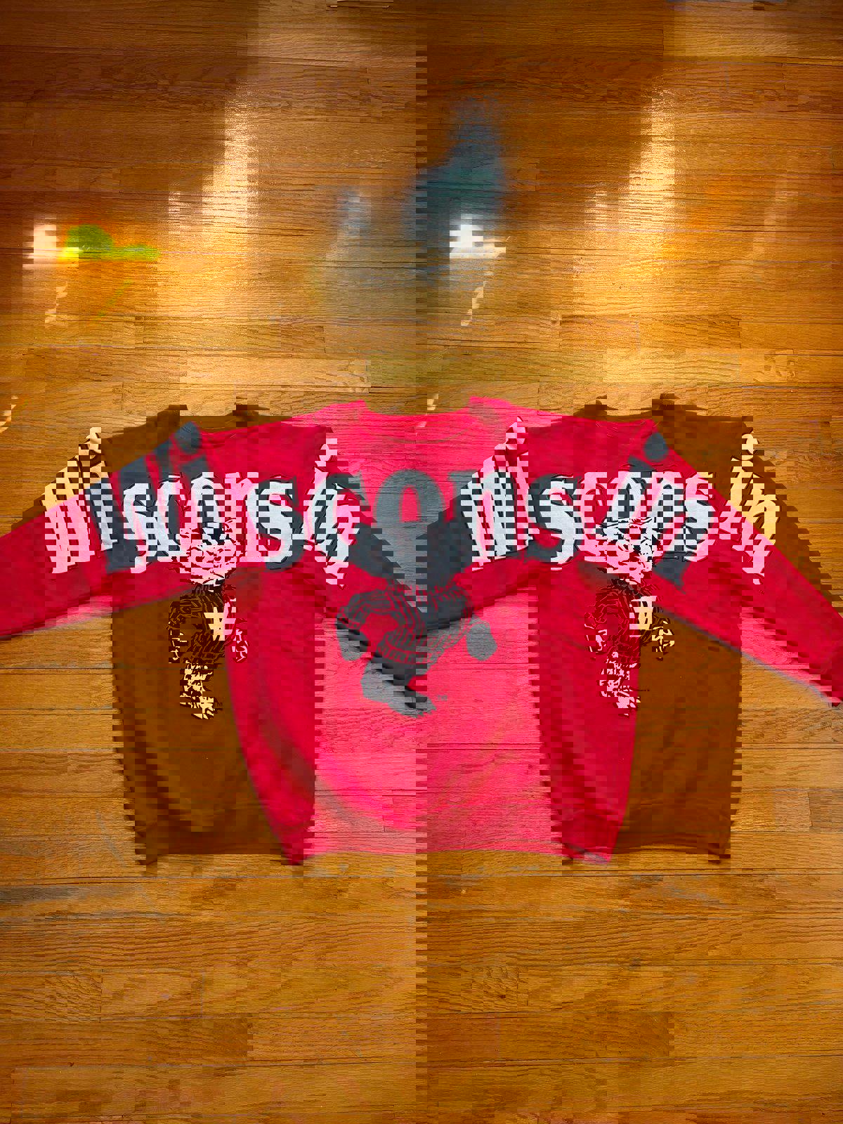 Vintage University of Wisconsin Badgers Crewneck Sweater