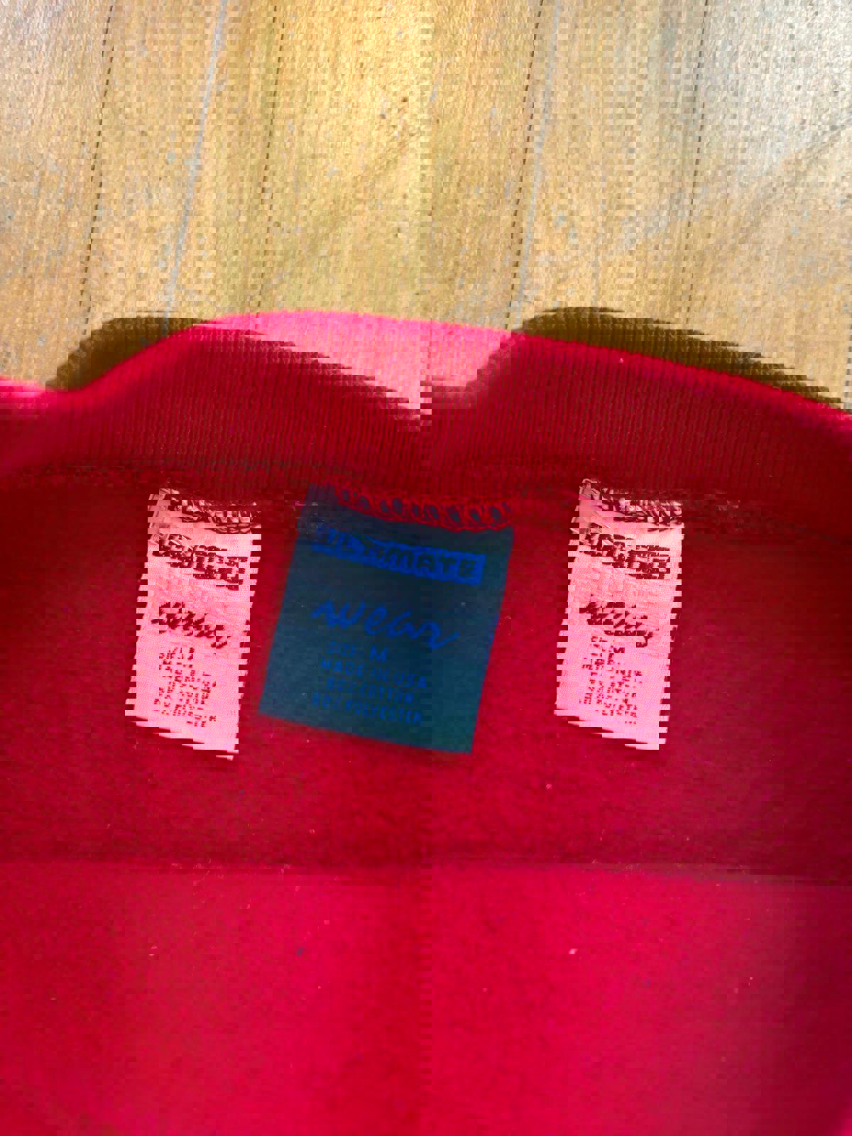 Vintage Looney Tunes Tweety Bird Christmas Crewneck