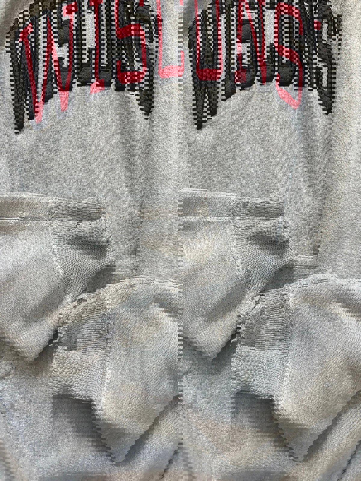 Vintage University of Wisconsin Badgers Hoodie Sweater