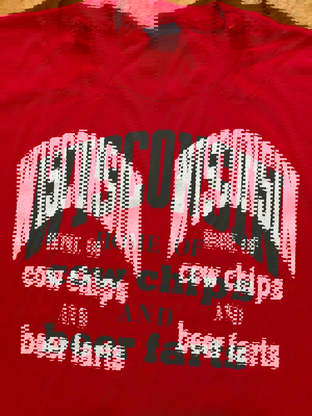 Vintage 90s Wisconsin Badgers T-Shirt