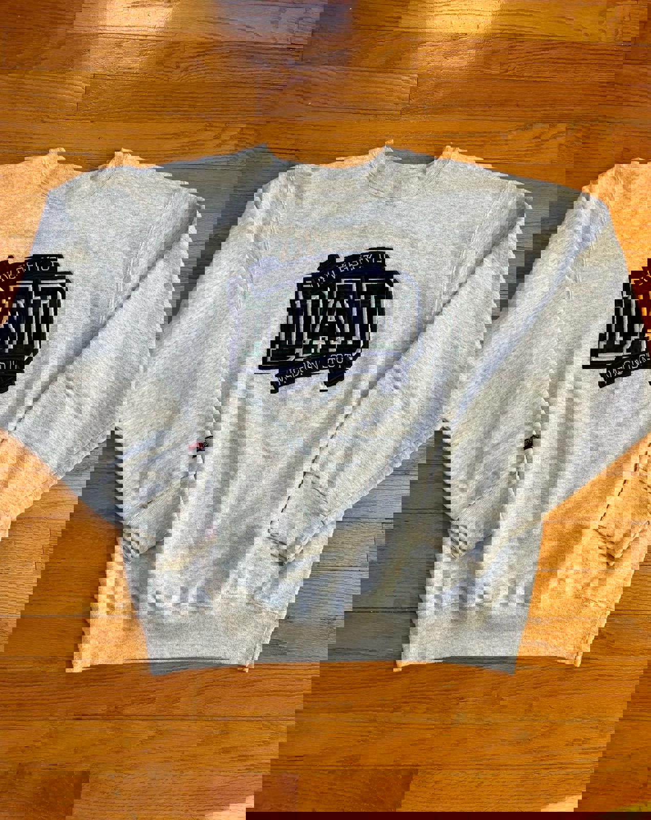 Vintage University of Wisconsin Stout DAD Crewneck Sweater