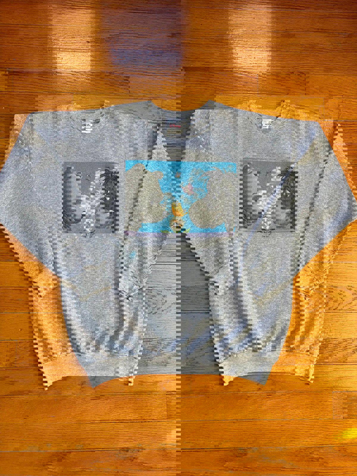 Vintage Disney Winnie the Pooh Eeyore Crewneck