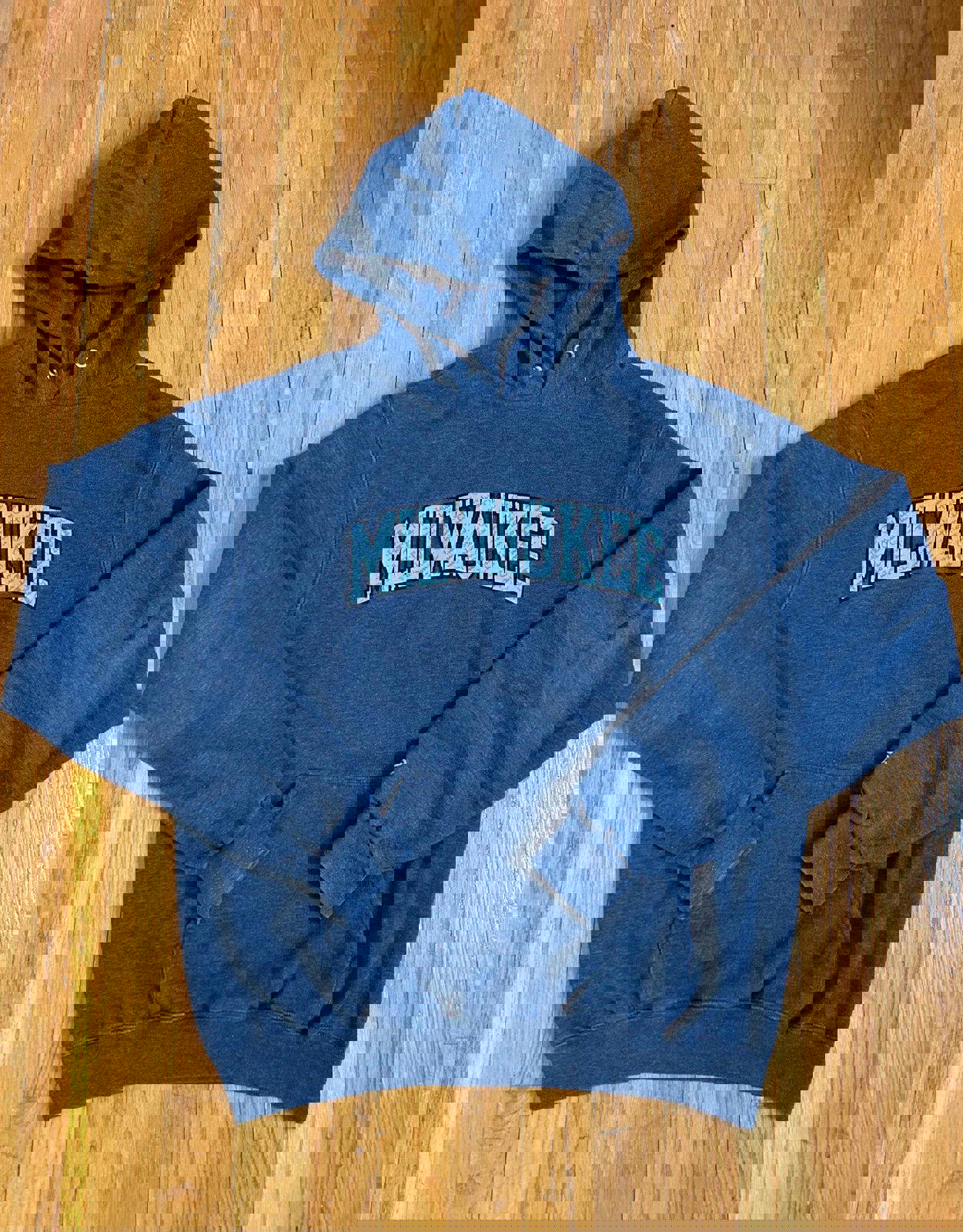 Champion University of Milwaukee Wisconsin Panthers Hoodie Sweater