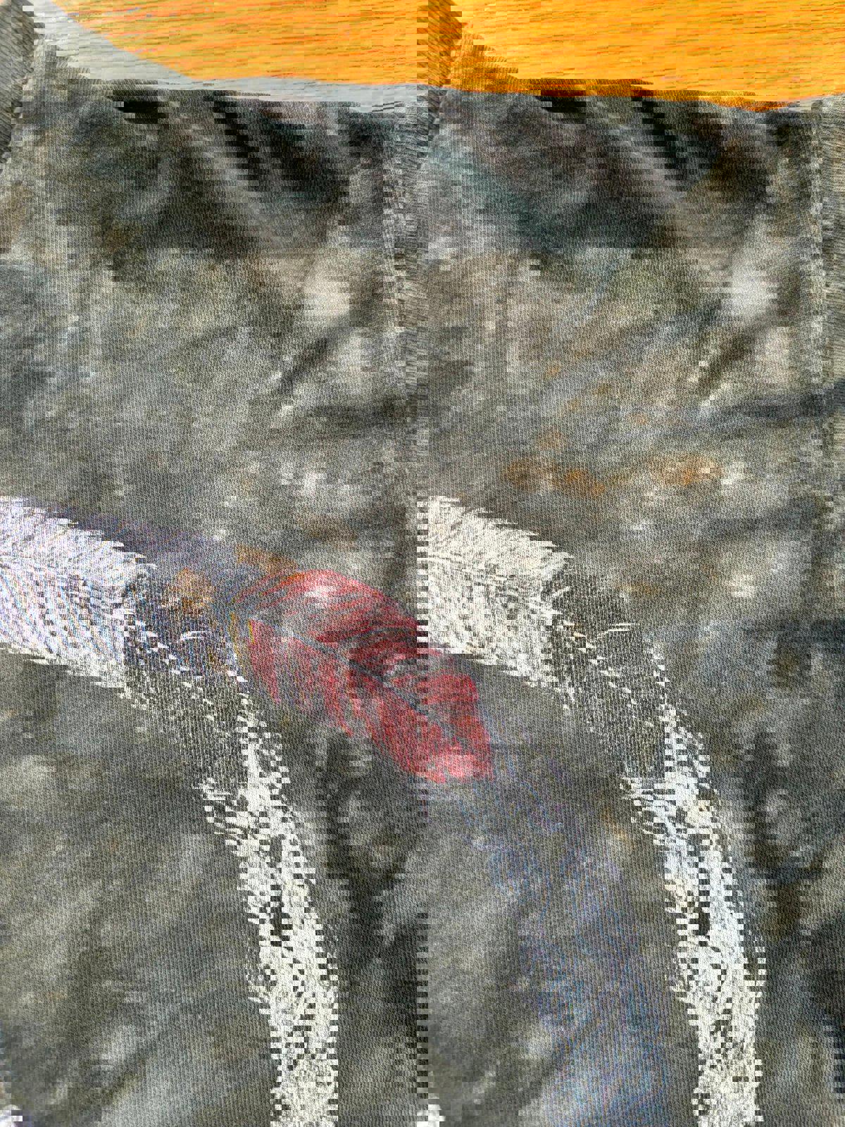 Vintage Native Americans Nature The Mountains Tie Dye T-Shirt