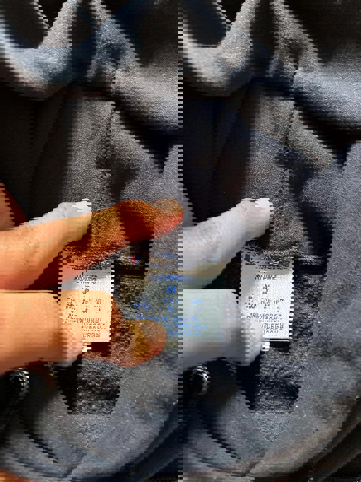 Vintage Champion University of Illinois Fighting Illini Hoodie