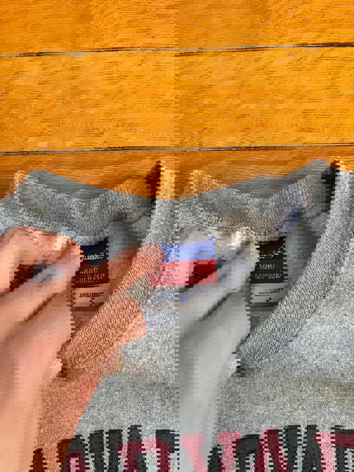 Champion Harvard University Ivy League Crewneck