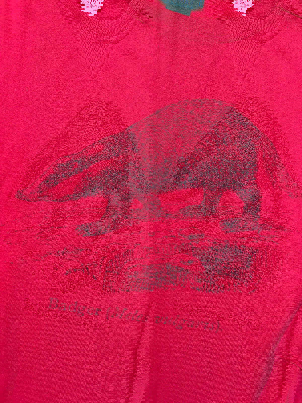 Vintage Wisconsin Badgers Nature Crewneck