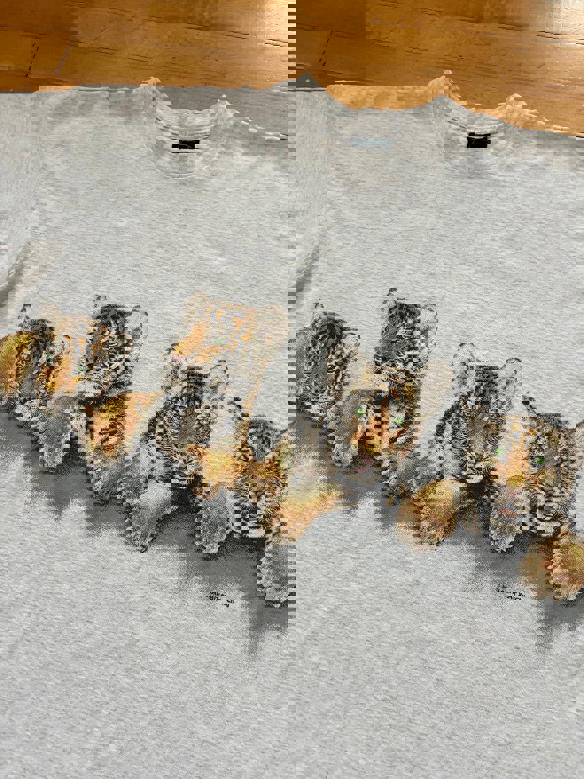 Vintage Nature Lion Milwaukee Wisconsin Country Zoo T-Shirt