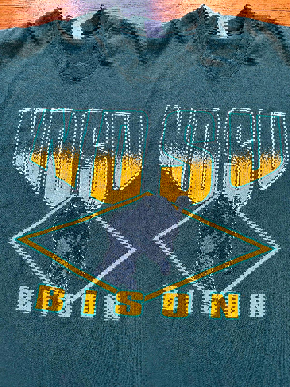 Vintage 90s North Dakotah State University Bison T-Shirt