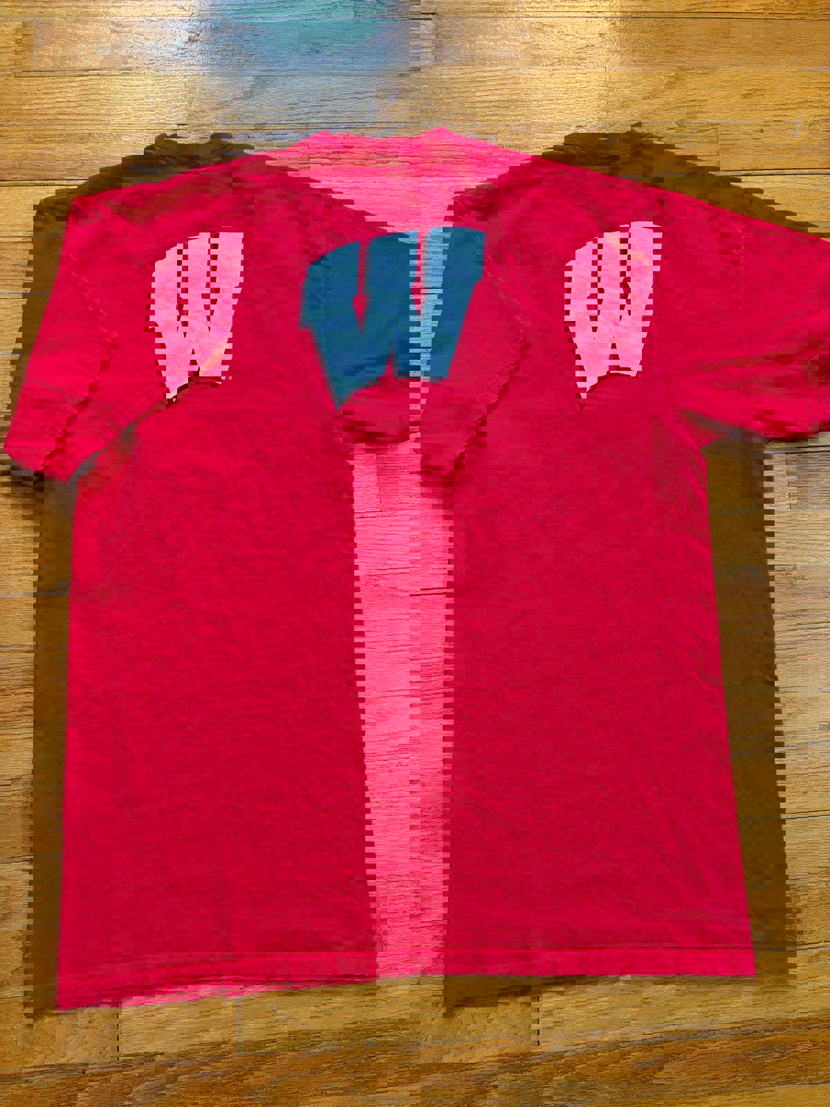 Vintage Nike University of Wisconsin Badgers T-Shirt