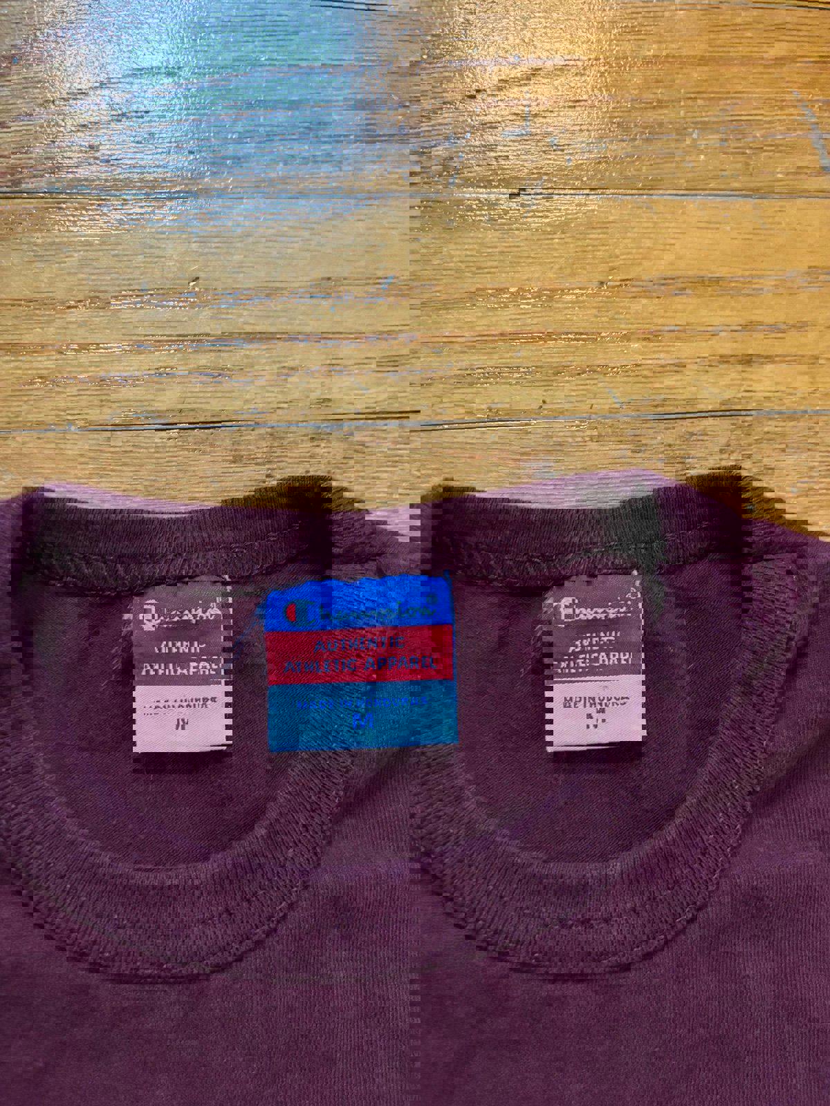 Vintage Champion Minnesota Gophers T-Shirt