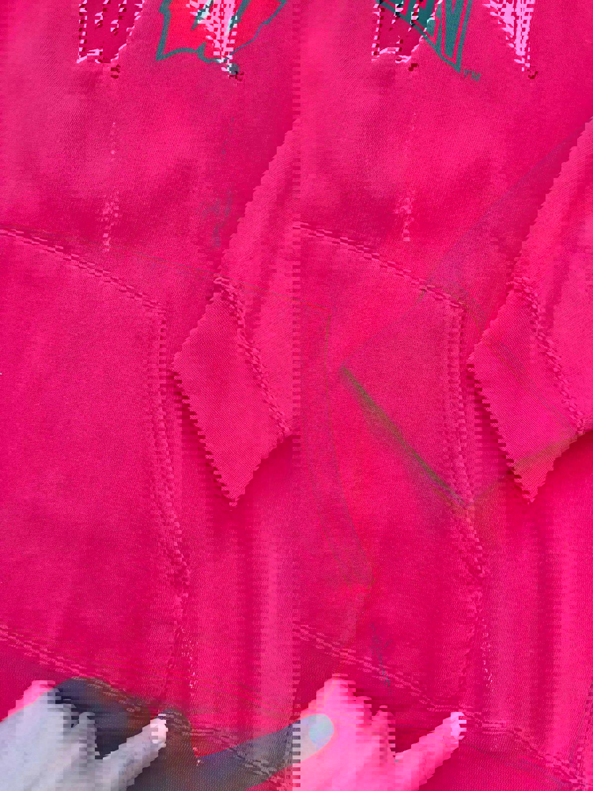 Vintage University of Wisconsin Badgers Hoodie