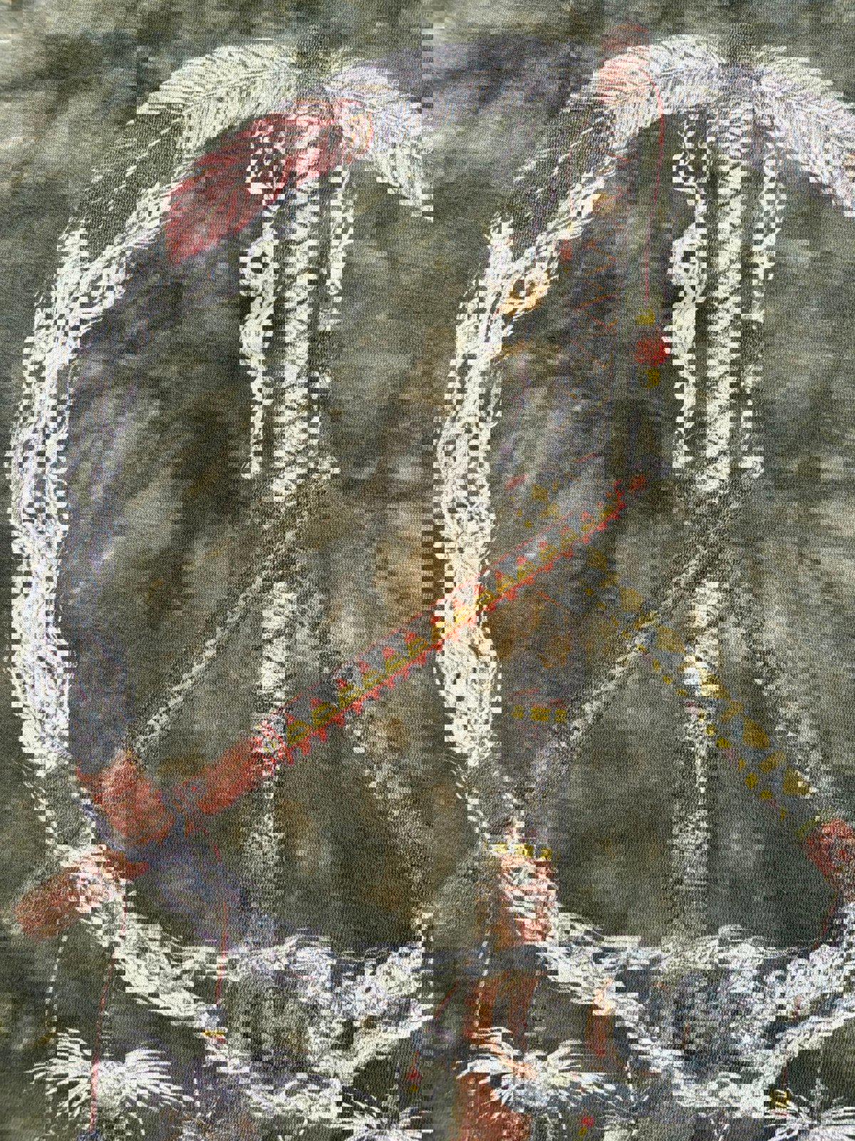 Vintage Native Americans Nature The Mountains Tie Dye T-Shirt