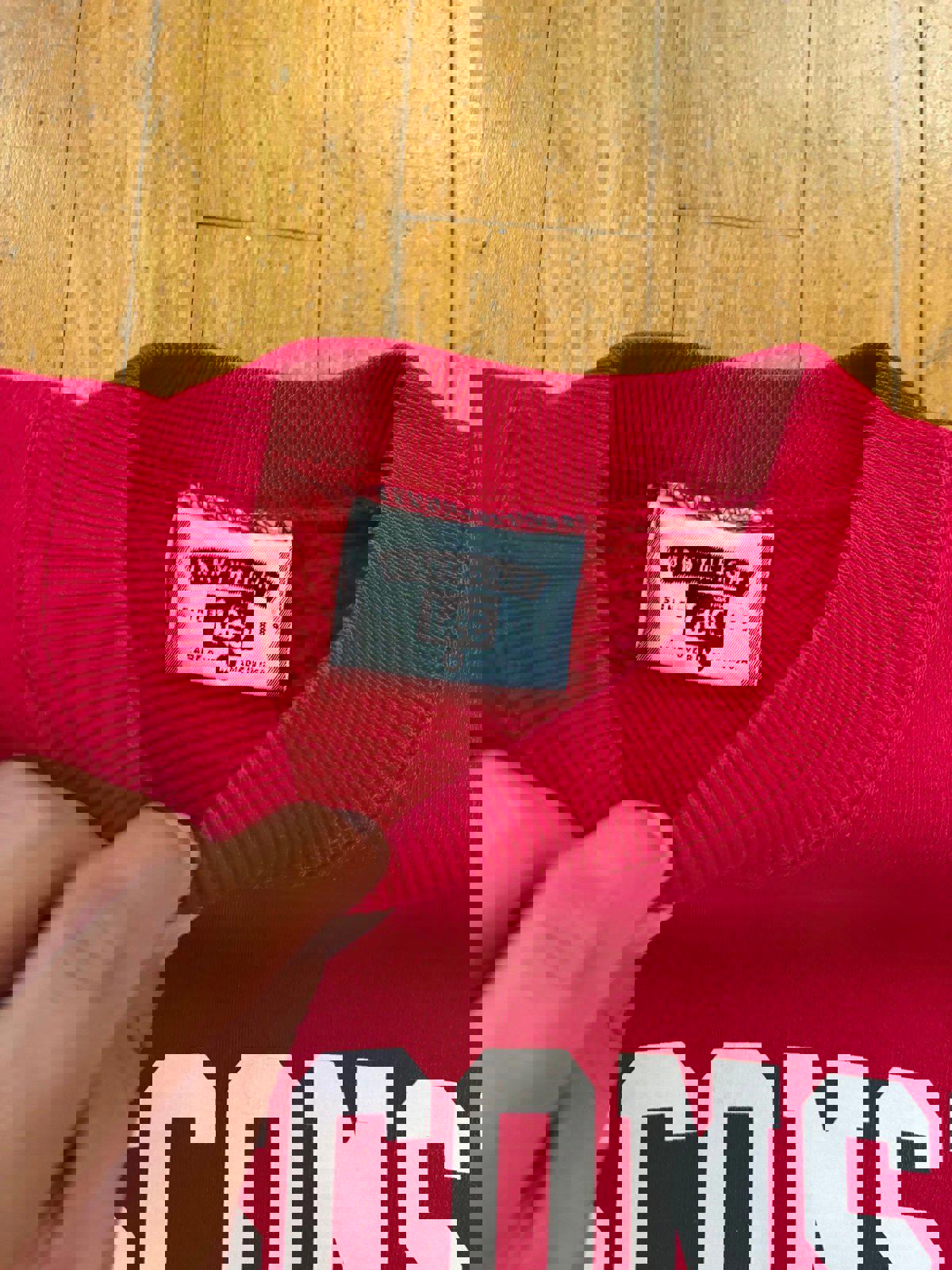 Vintage University of Wisconsin Badgers Crewneck Sweater