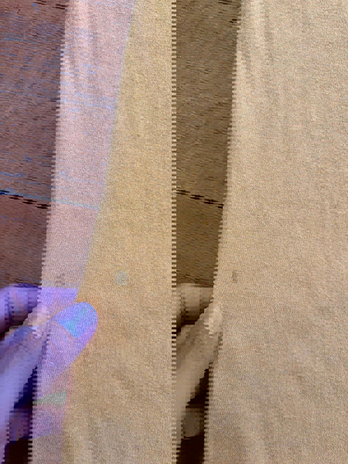 Vintage Green Bay Packers NFL Champion T-Shirt