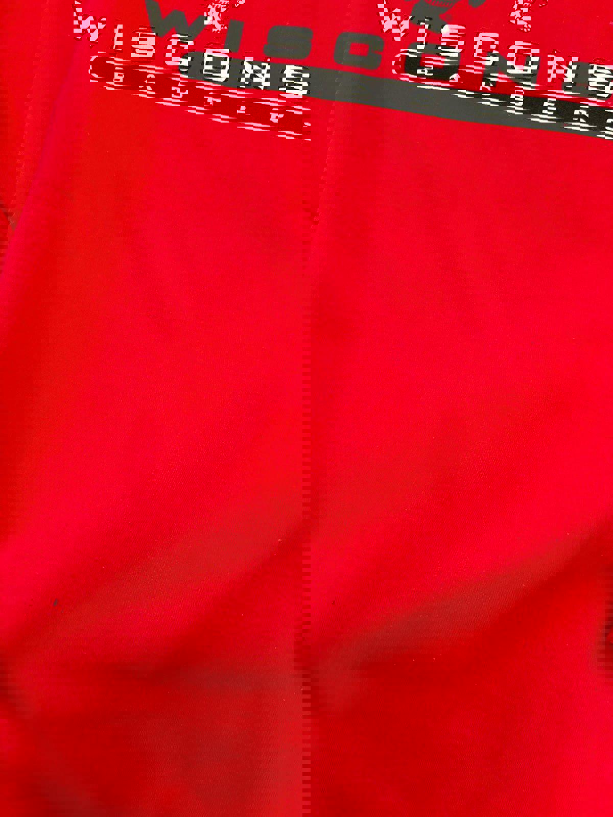 Vintage University of Wisconsin Badgers Crewneck Sweater