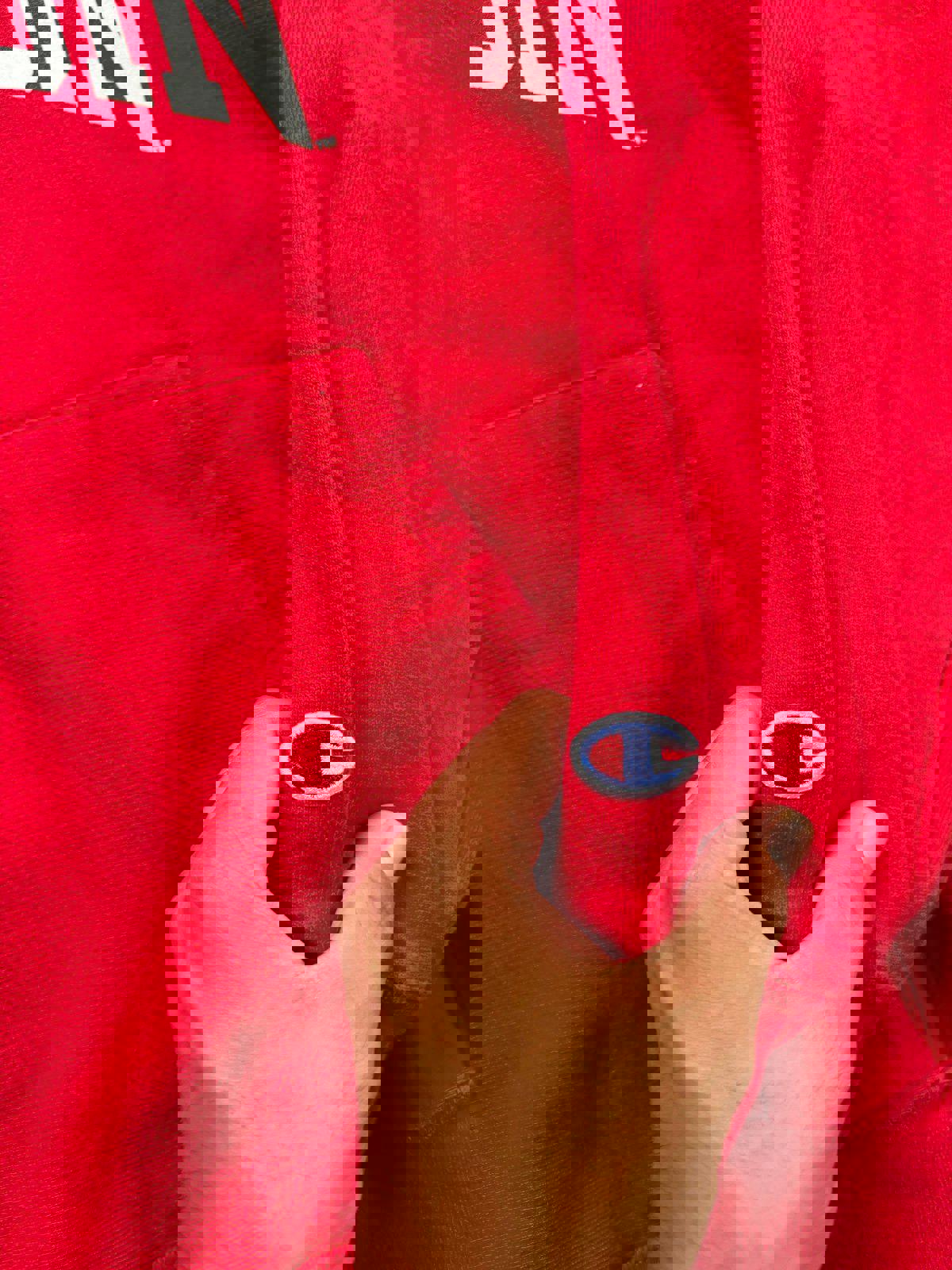 Vintage University of Wisconsin Badgers Hoodie Sweater