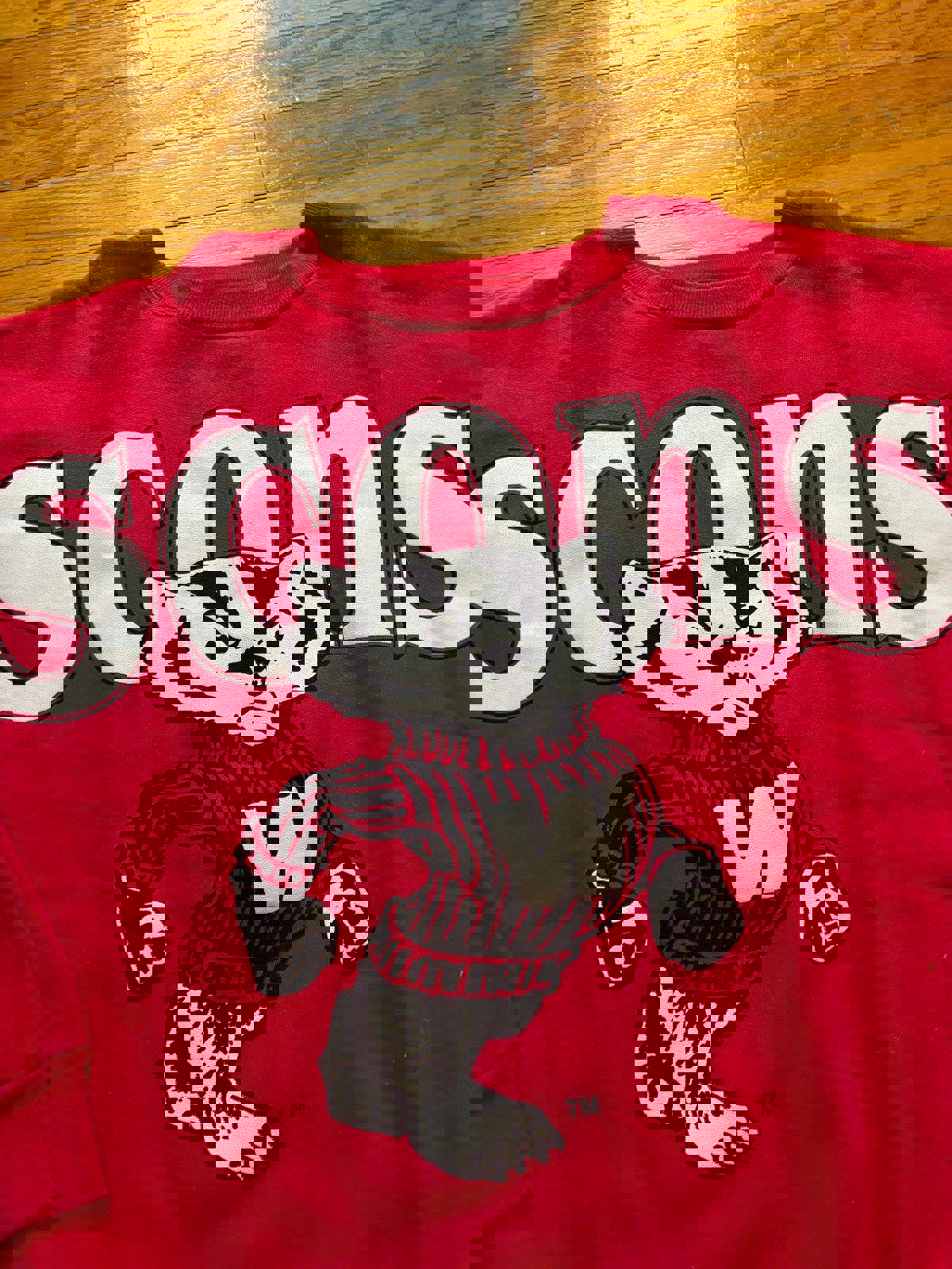 Vintage University of Wisconsin Badgers Crewneck Sweater