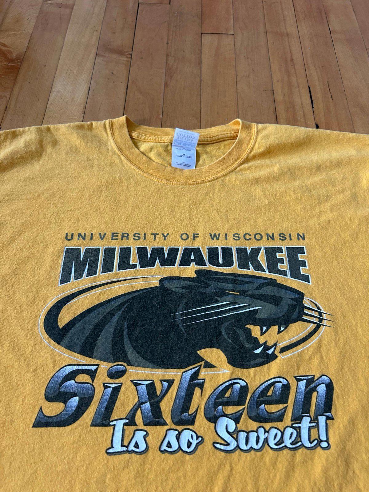 Vintage University of Wisconsin Milwaukee Panthers Basketball Sweet 16 T-Shirt