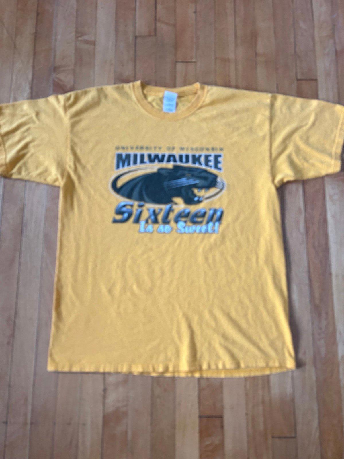 Vintage University of Wisconsin Milwaukee Panthers Basketball Sweet 16 T-Shirt