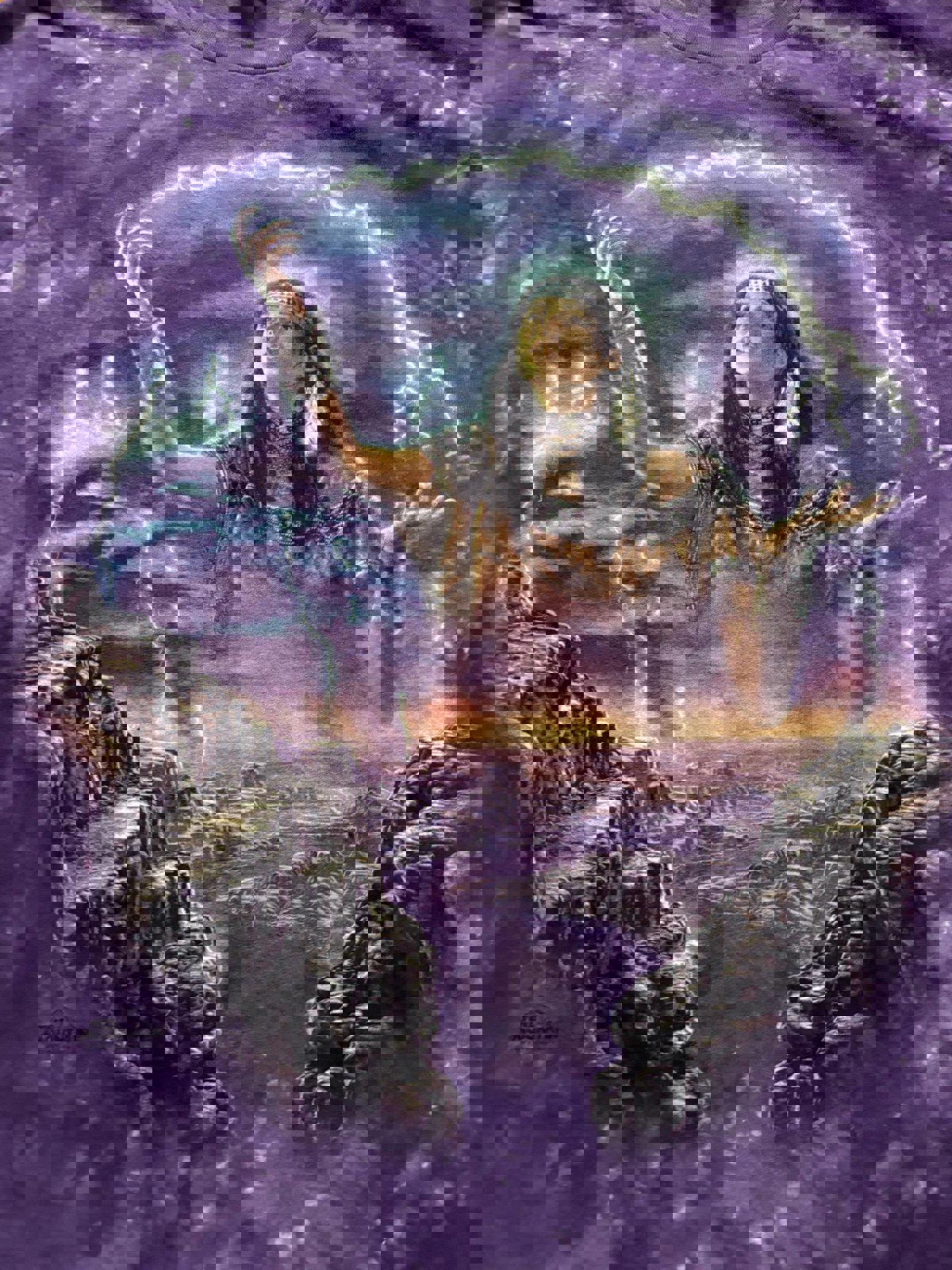 Vintage Native Americans Nature The Mountains Tie Dye T-Shirt