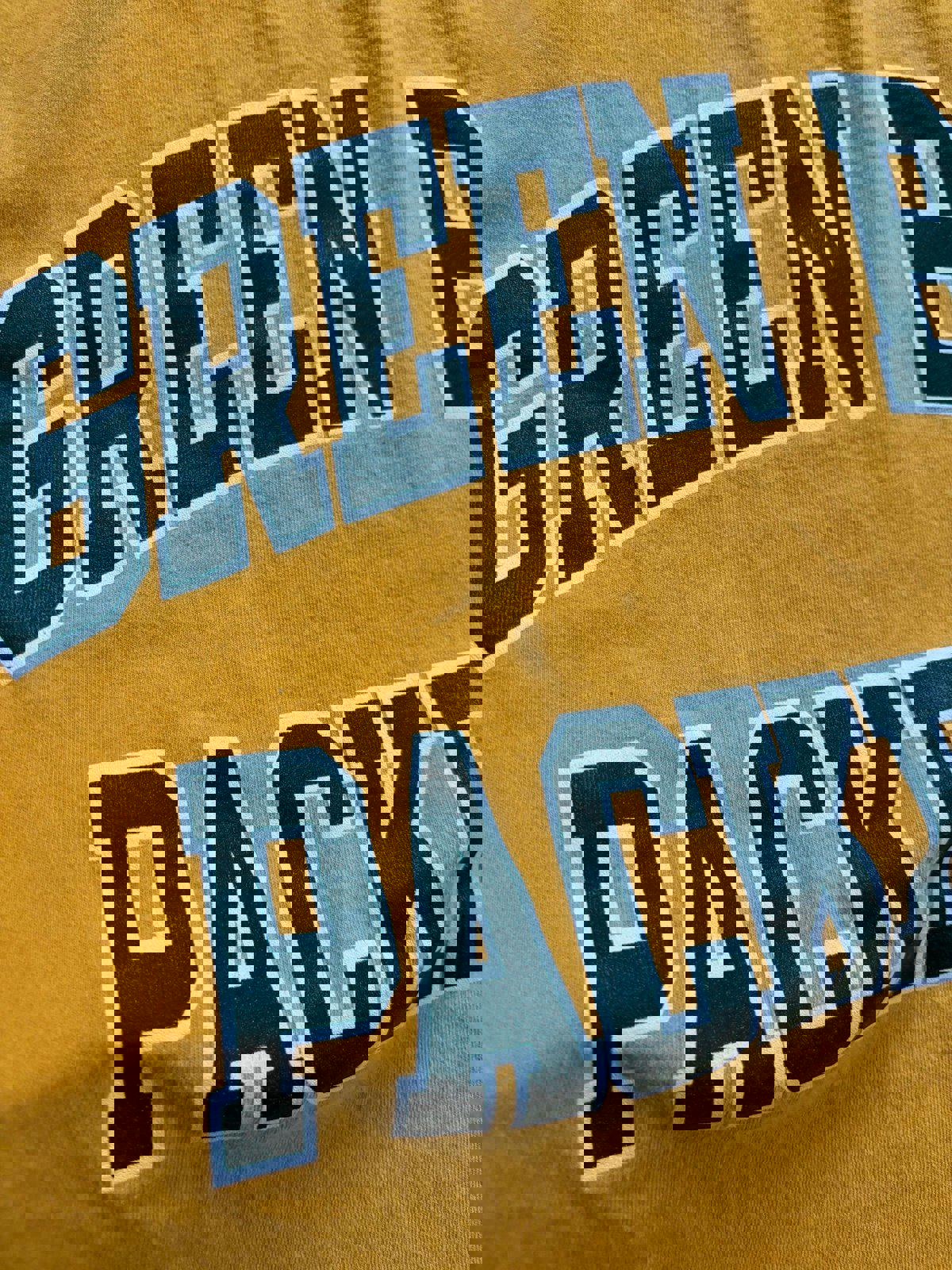 Vintage Green Bay Packers NFL Champion T-Shirt