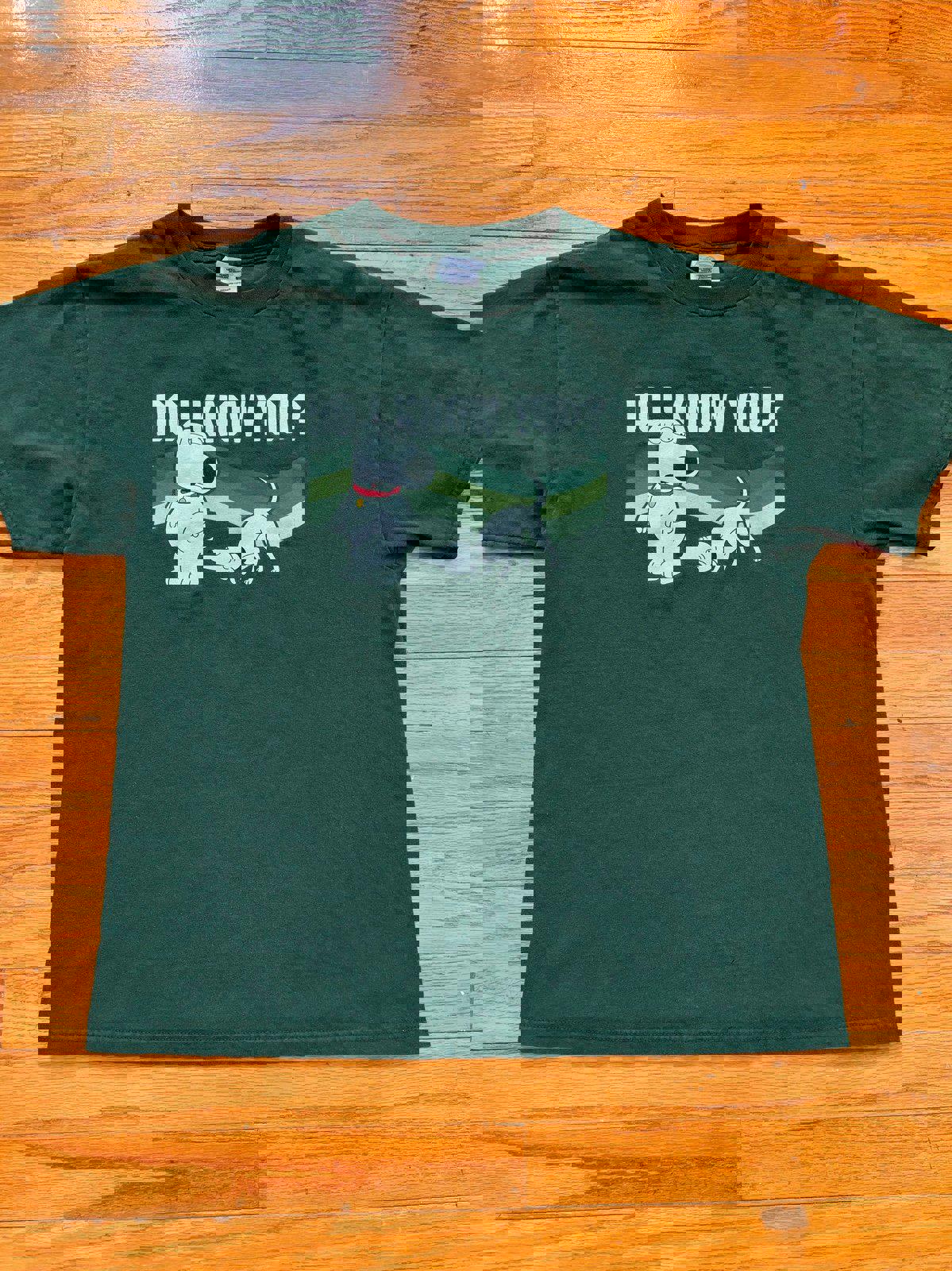 Vintage Family Guy Brian "Do I Know You?" T-Shirt