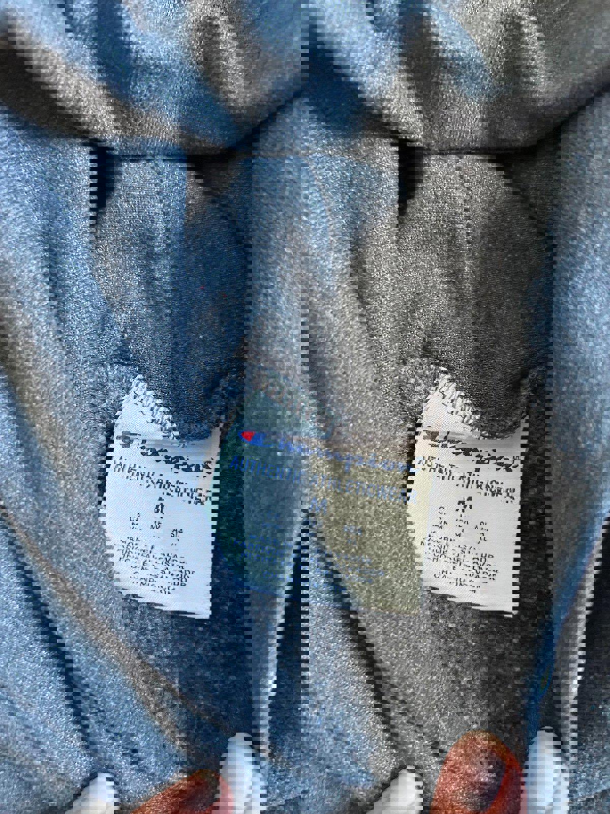 Champion University of Milwaukee Wisconsin Panthers Hoodie Sweater