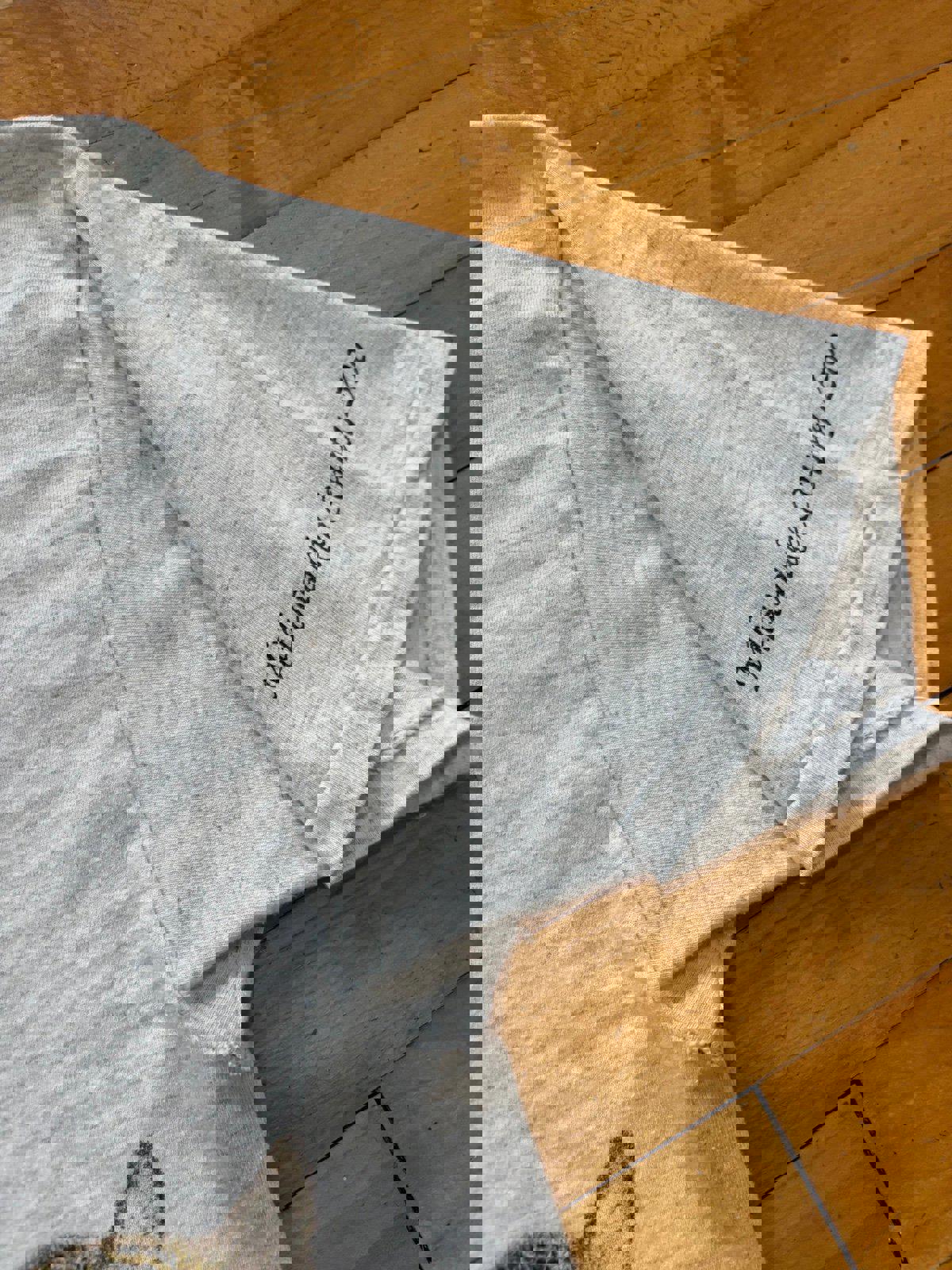 Vintage Nature Lion Milwaukee Wisconsin Country Zoo T-Shirt