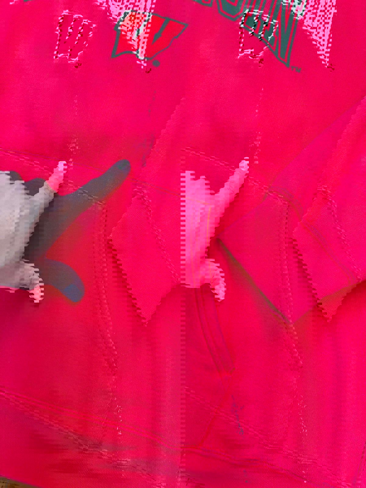 Vintage University of Wisconsin Badgers Hoodie