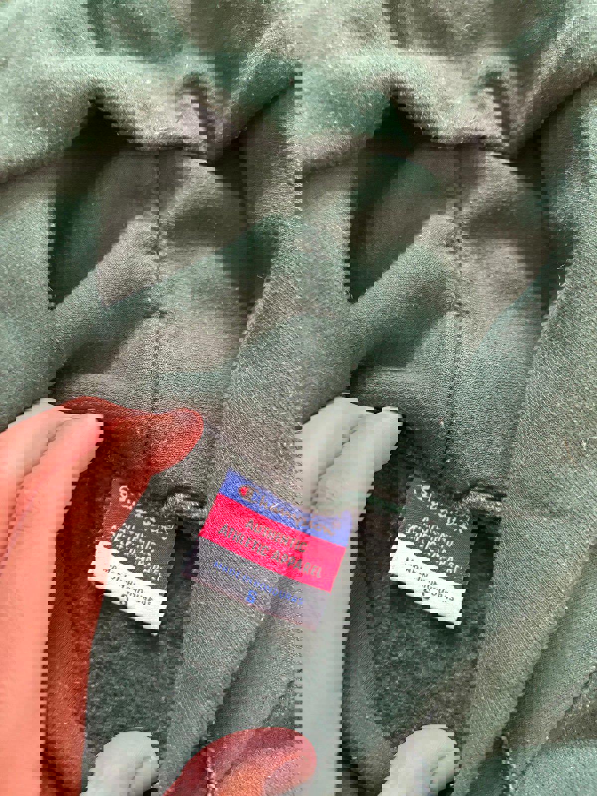 Champion University of Wisconsin Green Bay Hoodie Sweater