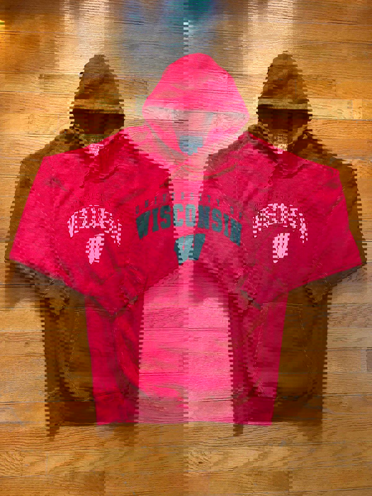 Vintage University of Wisconsin Badgers Hoodie Sweater