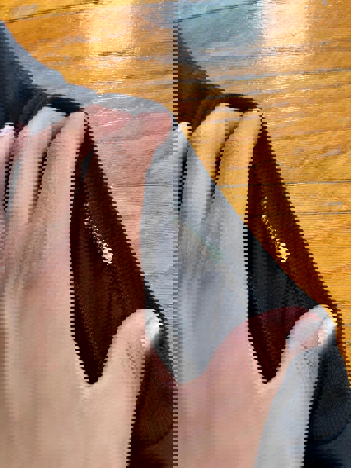 Vintage 90s Nature Wolf T-Shirt