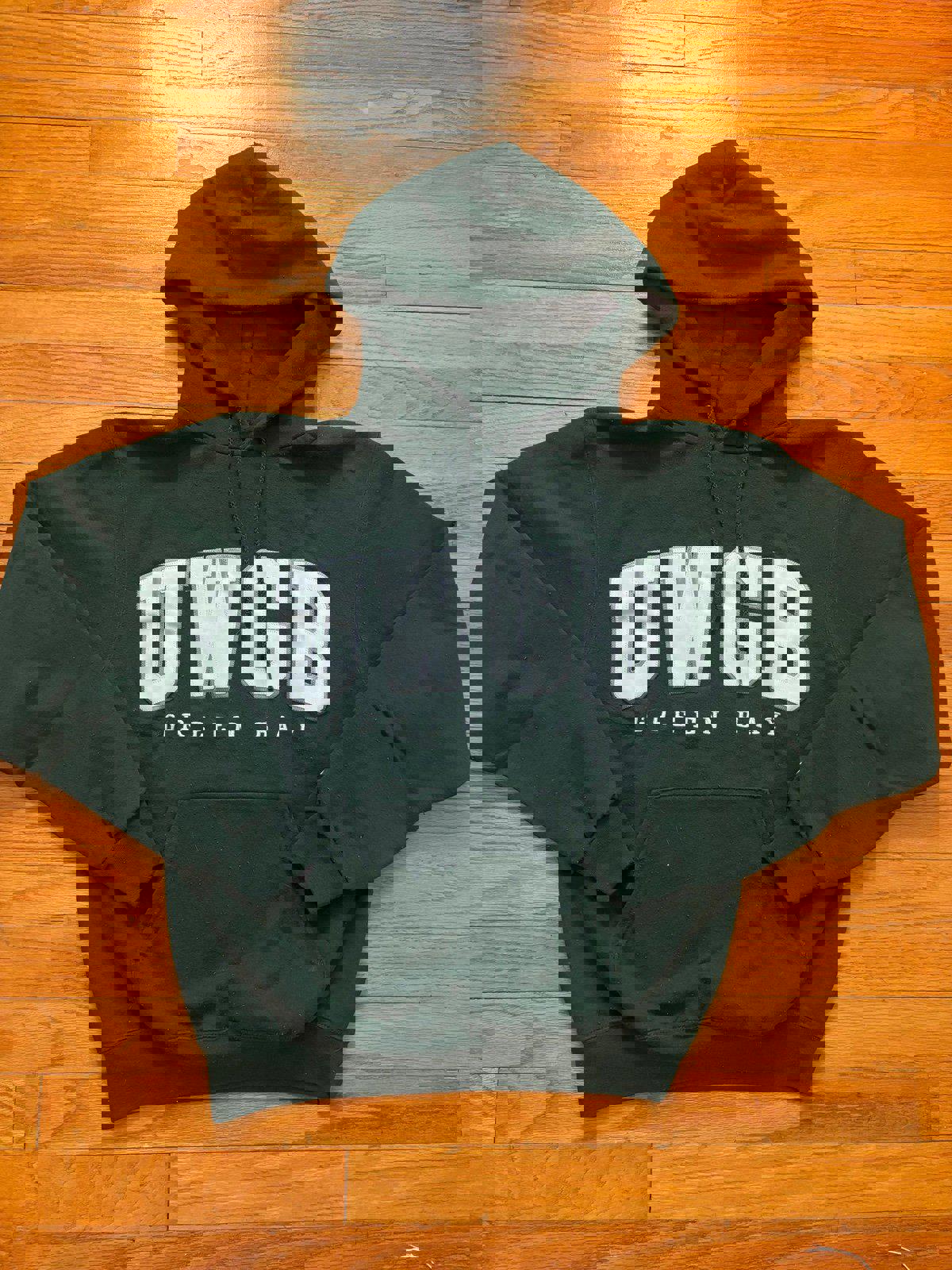 Champion University of Wisconsin Green Bay Hoodie Sweater