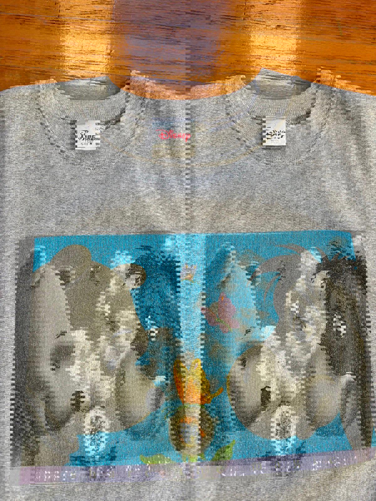 Vintage Disney Winnie the Pooh Eeyore Crewneck