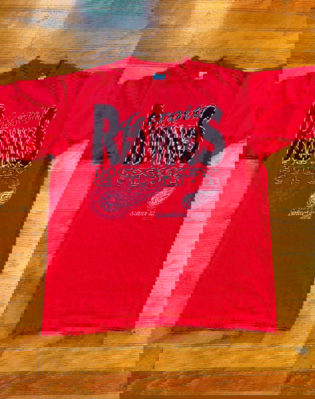 Vintage NHL Detroit Red Wings Stanley Cup Champions T-Shirt