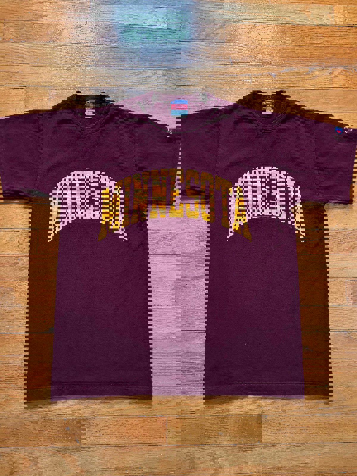 Vintage Champion Minnesota Gophers T-Shirt