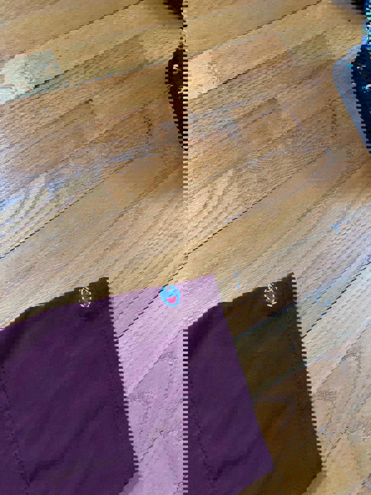 Vintage Champion Minnesota Gophers T-Shirt