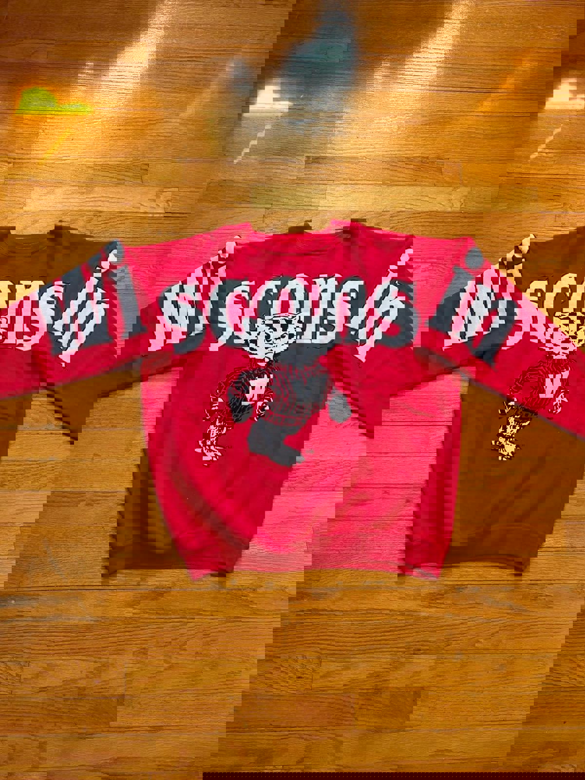 Vintage University of Wisconsin Badgers Crewneck Sweater