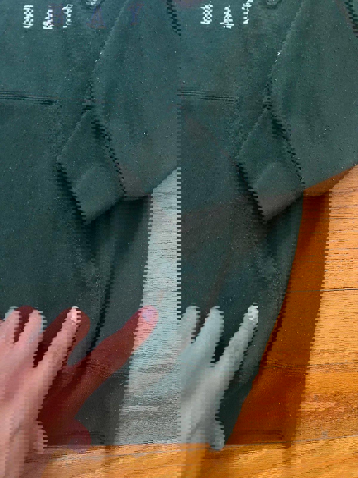 Champion University of Wisconsin Green Bay Hoodie Sweater