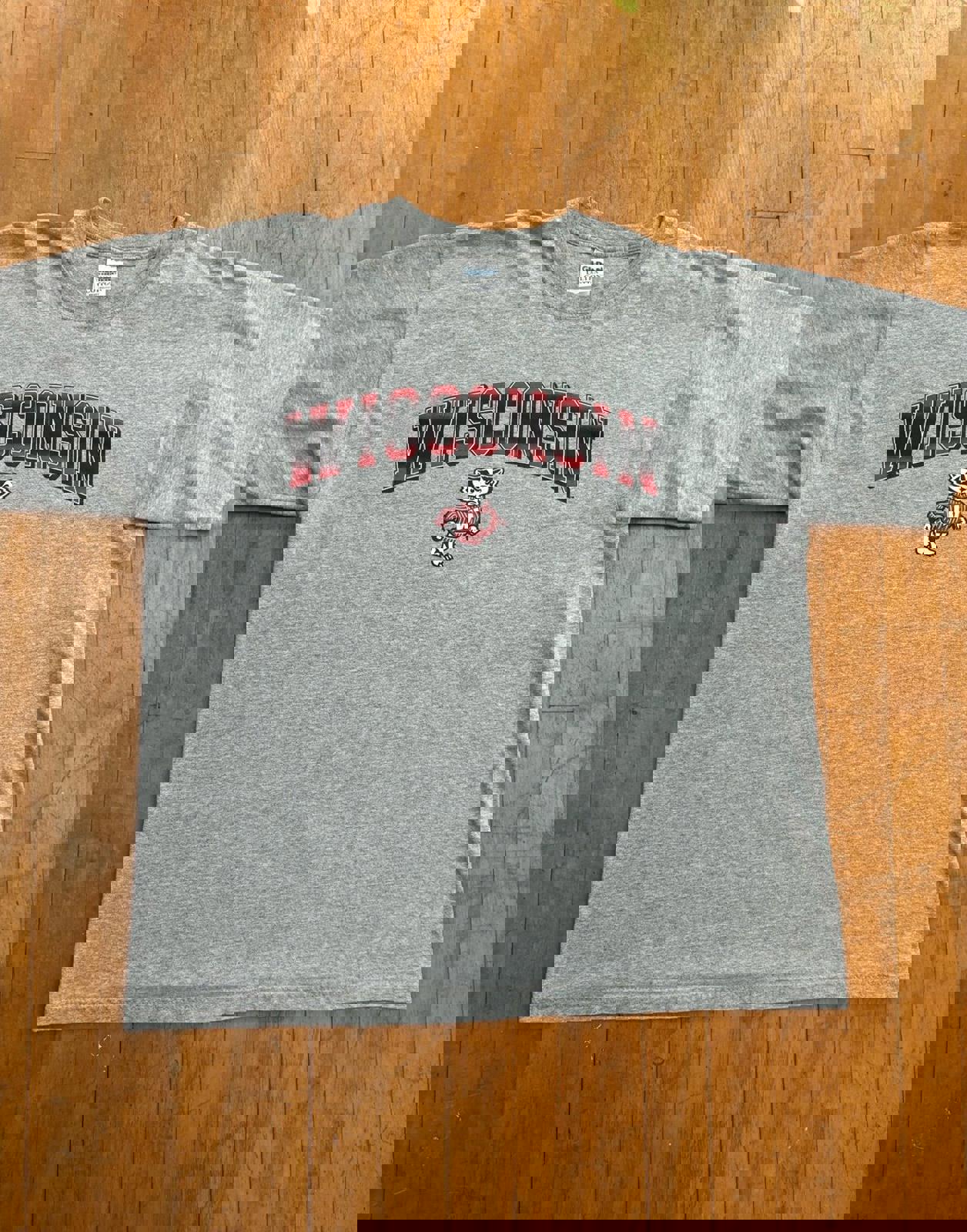 Vintage University of Wisconsin Badgers T-Shirt