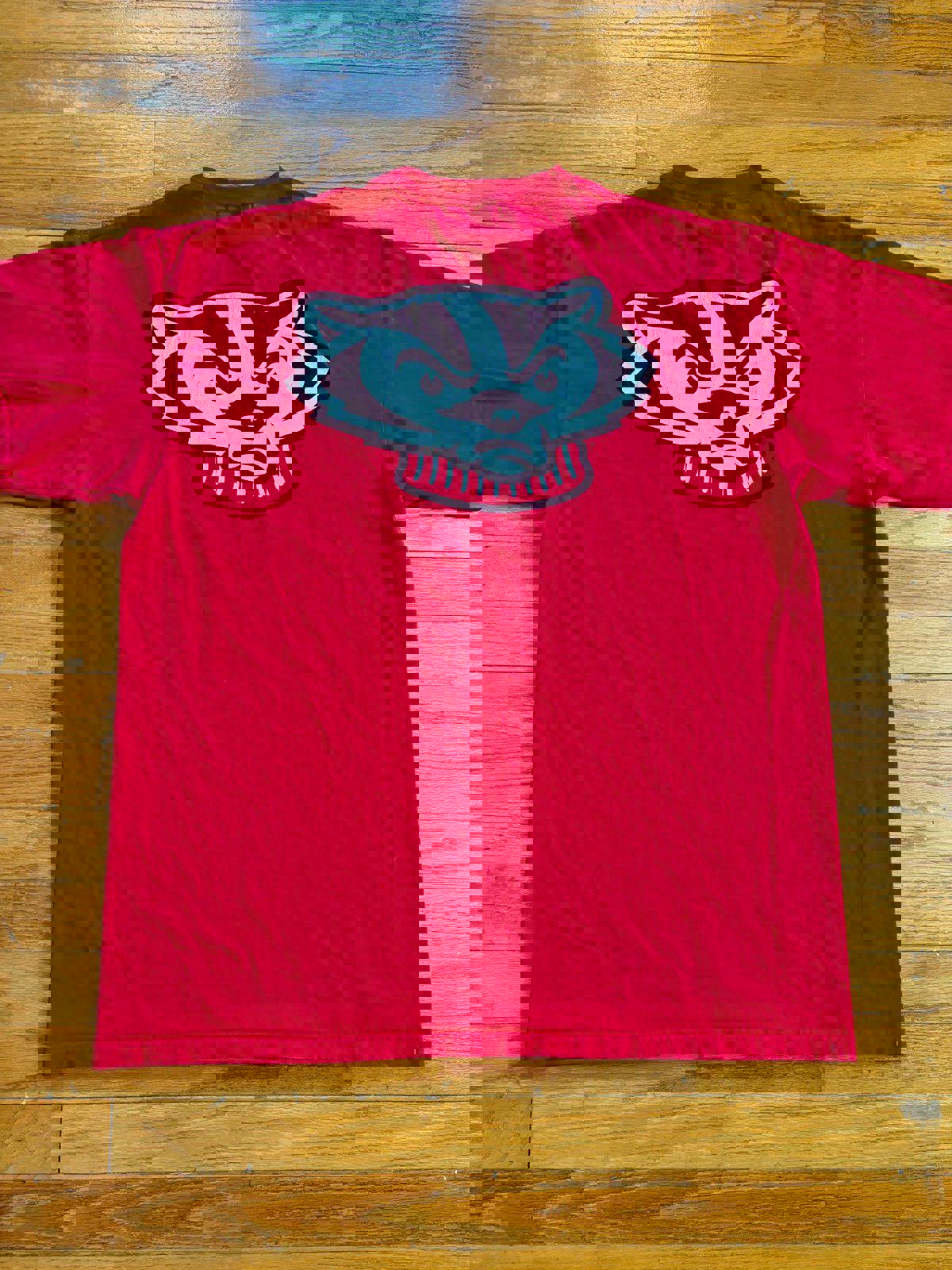 Vintage Nike University of Wisconsin Badgers T-Shirt