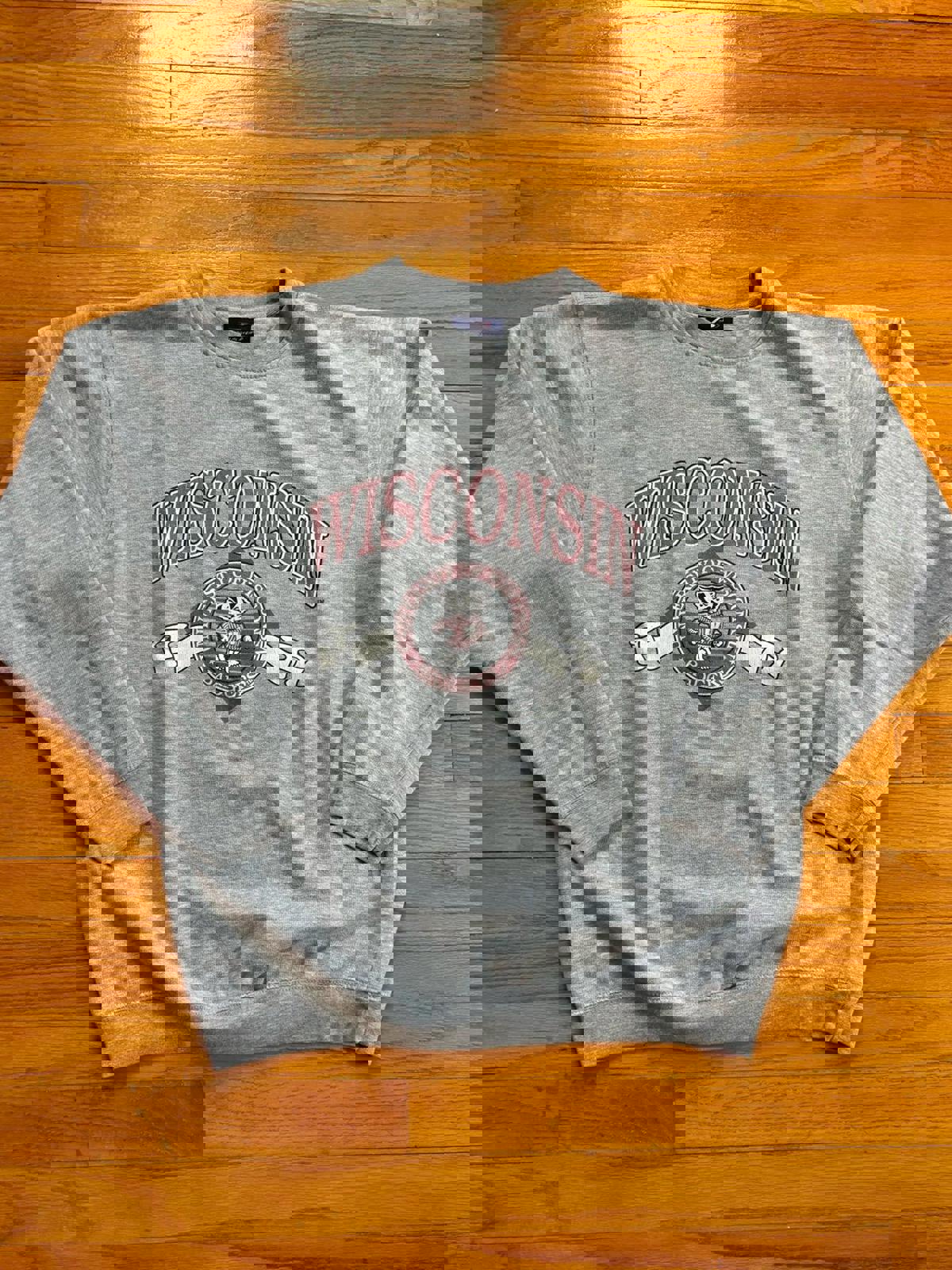 Vintage University of Wisconsin Badgers Crewneck Sweater